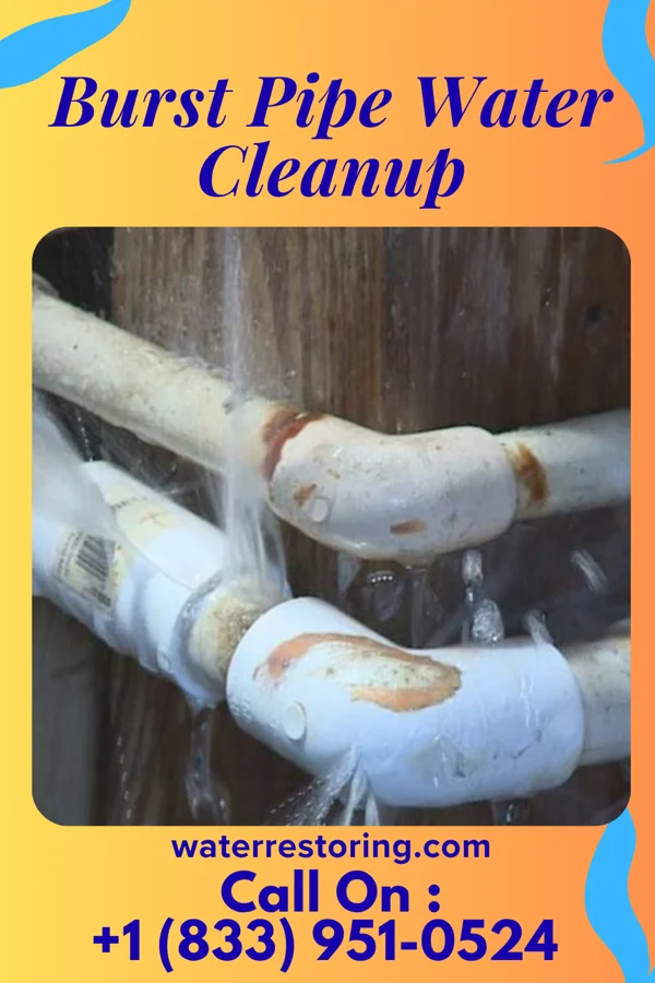 Burst Pipe Water Cleanup in Gaylord, KS