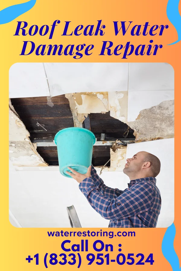Roof Leak Water Damage Repair in Gaylord, KS